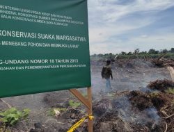 Pantauan FJL, Perkembangan Sawit di Rawa Singkil Ancam Kelestarian Lingkungan